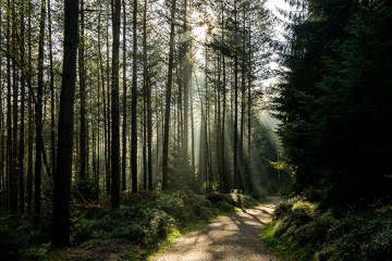 sube-al-monte-de-dios-11