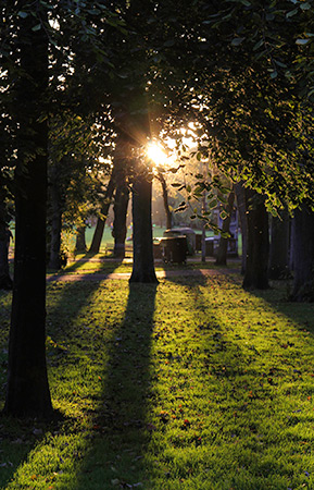 contemplacion-el-camino-mistico-olvidado-por-los-cristianos