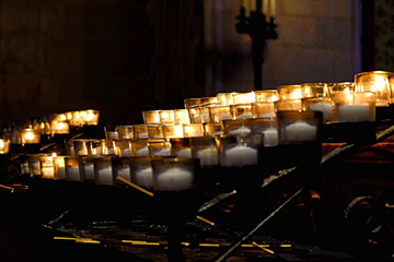 directorio-de-contemplativos-d